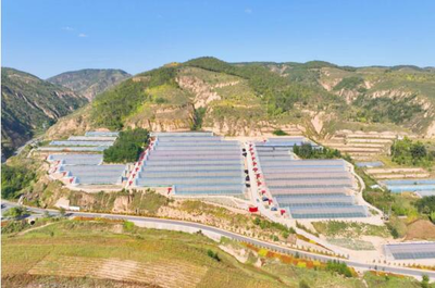 福彩+文旅 公益賦能發展，共繪美好生活——以淄博CMS為例