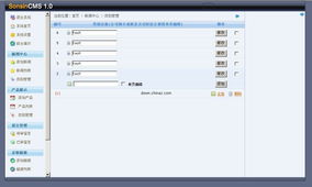 淄博CMS 革新內容管理系統的本土化力量