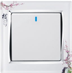 供應(yīng)家裝墻壁開關(guān)插座，打造安全便捷生活空間